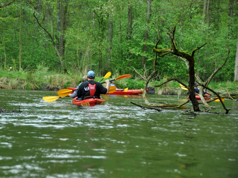 kayaking routes near Stetin or German